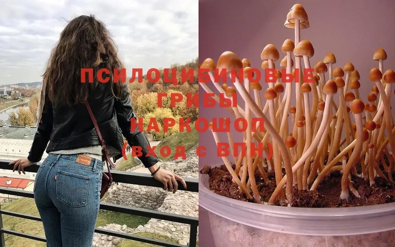 купить закладку  Лабытнанги  Галлюциногенные грибы MAGIC MUSHROOMS 